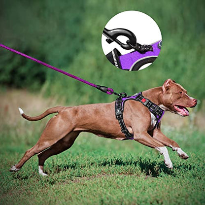 PoyPet Dog Harness and Leash Combo, Escape Proof No Pull Vest Harness, with 5 Feet Leash, Reflective Adjustable Soft Padded Pet Harness with Handle for Small to Large Dogs(Purple,S) - color: Purple, size: S