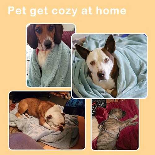 Dog Blankets for Large Dogs, Super Soft Warm Sherpa Fleece Plush Doggie Blankets and Throws for Small Medium Puppy Doggy Pet Cats，50x60 inches - color: Grey & Grey