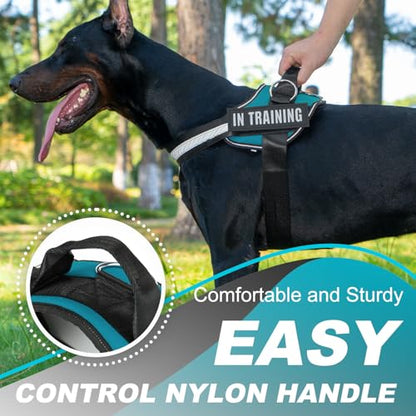 JUSTYEZI Essential Dog Harness with 3 Leash Clips - No-Pull, Adjustable, Comfortable Pet Vest Harness for Small to Large Dogs - Easy On, No Choke, Reflective, Padded Harness for Walking and Training