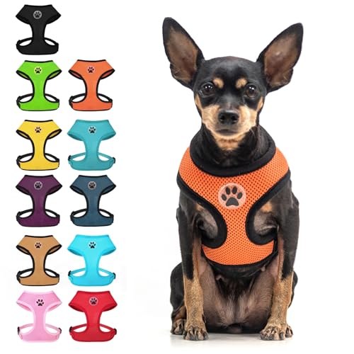 BINGPET Small Dog Harness, No Pull Dog Harness Small Sized Dogs, Soft Light Breathable Mesh Puppy Vest with Safety Buckle-Adjustable Step in Pet Harnesses for Easy Walking, Running, Training - color: Orange, size: XS (NECK: 10", CHEST: 10"-14")