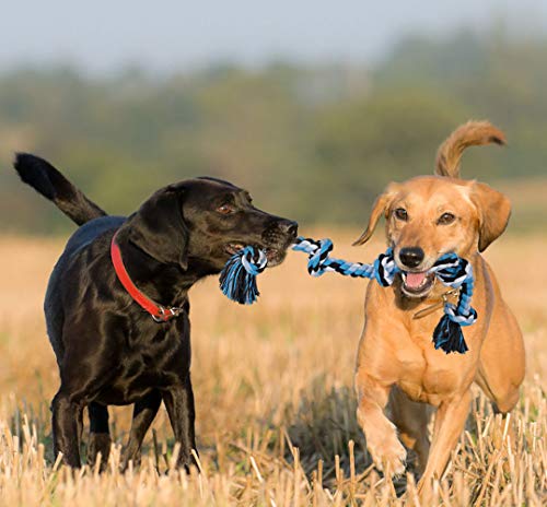 Bmag Dog Rope Toys for Aggressive Chewers, Interactive Heavy Duty Dog Toys for Medium Large Dogs, Tough Twisted Rope Toy with 5 Knots (Blud) - color: Blue