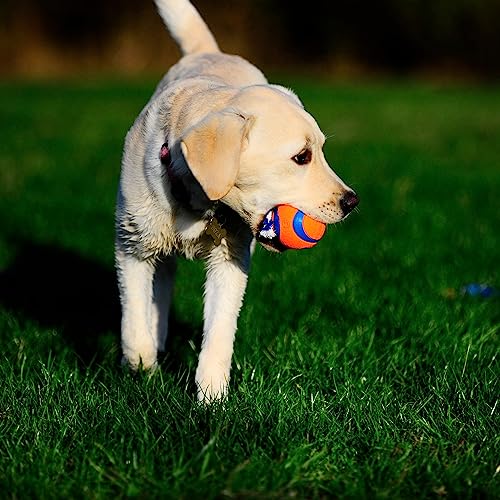 Chuckit! Ultra Toss Dog Toy, Small Indoor and Outdoor Dog Toy for Dogs 0-20 Pounds - size: Small, style: Ultra Toss