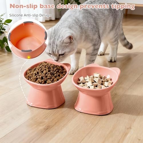 KSIA Klear Elevated Cat Bowls 2 Pack, Tilted Raised Cat Bowl for Food and Water, 4.72" Wide, Whisker Friendly Anti Vomit for Indoor Cats, Microwave and Dishwasher Safe, Pink - color: Pink