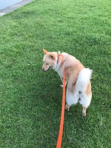 AMAGOOD Dog/Puppy Obedience Recall Training Agility Lead-15 ft 20 ft 30 ft 50 ft Long Leash-for Dog Training,Tie Out,Play,Safety,Camping (15Feet x 1Inch, Blue) - color: Blue, size: 1" x 15ft