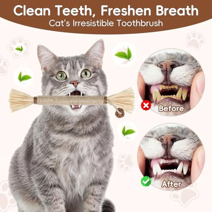 5 Pack Silvervine Sticks Cat Toys, Natural Chew Kitten Teething Toys for Cleaning, Matatabi Catnip Treat Toys, Catmint Silver Vine Sticks for Bored Indoor Kitty