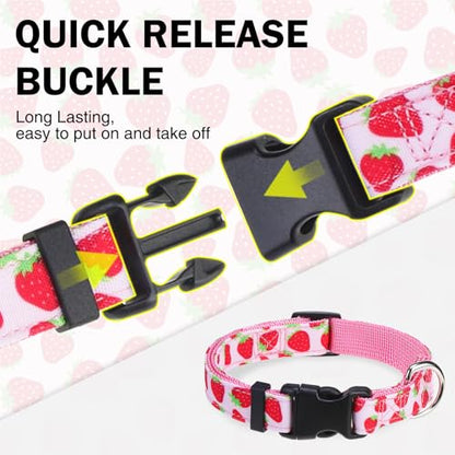 Dog Collar and Leash Set, Adjustable Dog Collars for Small Medium Dogs Boys Girls, Soft Durable Nylon Collar and Matching Leash, Cute Puppy Collars,Strawberry - color: Pink strawberry, size: Small(Neck:11.8"-16.2")