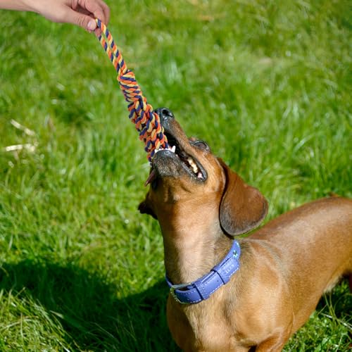 15 Pack Dogs Rope Toys for Large/Medium/Small Aggressive Chewers, Tough Cotton Dental Rope Toys Kit, Heavy Duty Dog Tug of War Toy for Chewing, Playing, Teething, Teeth Cleaning, Tossing and Catching - size: 15pc