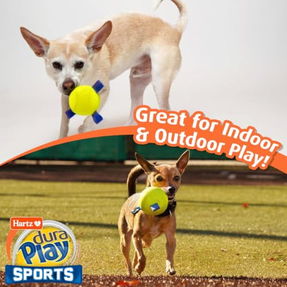 Hartz Dura Play Sports Soccer Dog Toy, Bacon Scented Squeaky Latex Yellow & Blue Toy, 1 Count - size: 1 Count, style: Soccer Ball