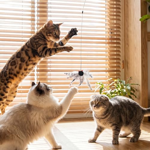 Cat Toys Wand Cat Fishing Pole Toy Cats Teaser Toys with 4 Realistic Hanging Refills