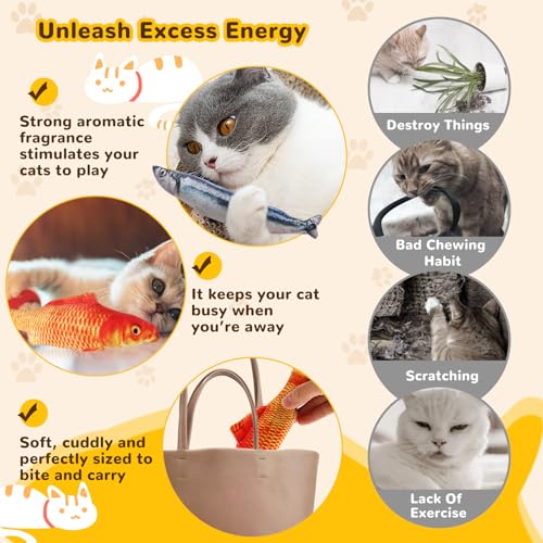Catnip Toys 5 Pack - Simulation Fish Shape Realistic Fluffy Catnip Doll Interactive Pets Pillow Chew Bite Supplies for Cat Kitten Kitty