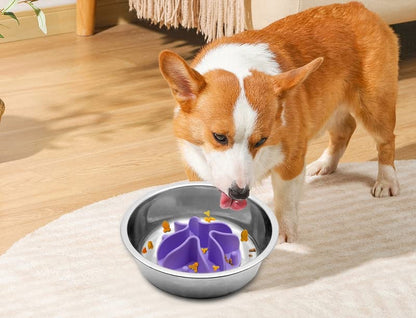Slow Feeder Insert for Dogs & Cats, 3 Sizes Food-Grade Silicone Anti-Choking Puzzle Feeder, Non-Slip Suction Cup Design, Fits Most Bowls, Bloat Stop Pet Feeding Solution - color: Lavander, size: Large 5.5 inchs