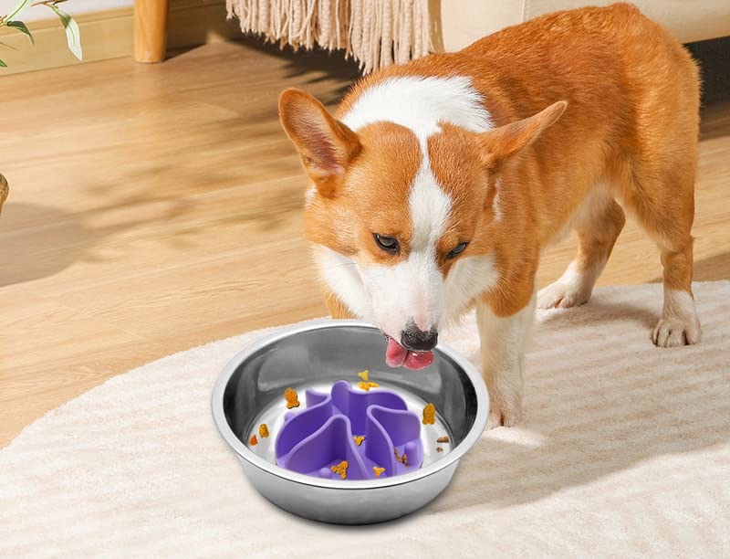 Slow Feeder for Dog Cat Puppy, Silicone Pet Feeder Insert with Strong Suction Cups, Medium, Purple - color: Lavander, size: Medium 4.7 inchs