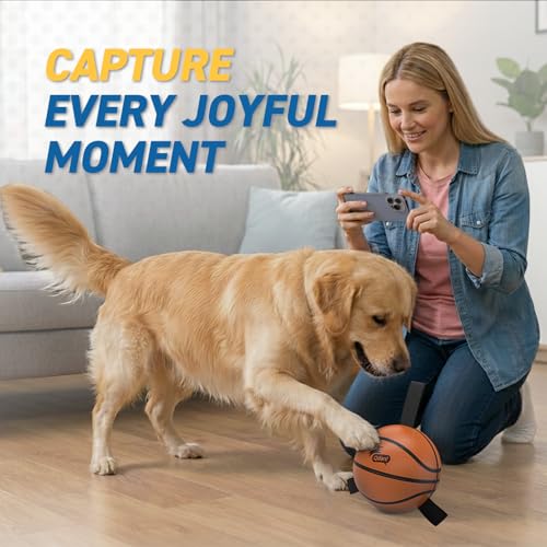 QDAN Dog Ball Basketball Toys, Balls with Straps, Dog Water Toy Pool Toys for Small Medium Dogs (6 Inch) - color: Basketball, size: 6 Inch