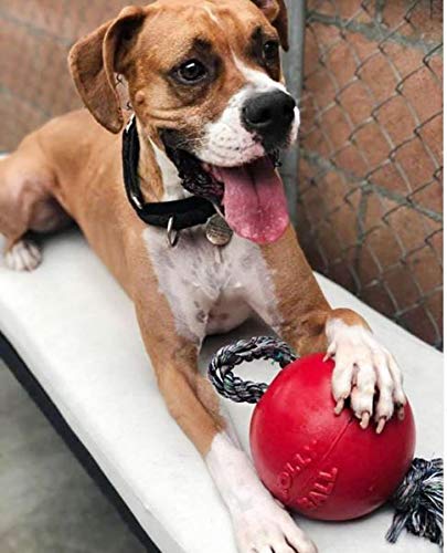 Jolly Pets Romp-n-Roll Rope and Ball Dog Toy, 6 Inches/Medium, Red (606 RD) - color: Red, size: Medium (6 in)
