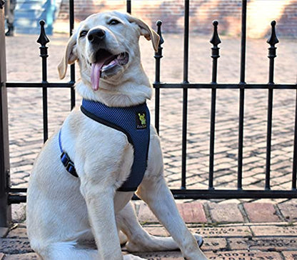 EcoBark Dog Harness - Eco-Friendly Max Comfort Harnesses - Luxurious Soft Mesh Halter - Over the Head Harness Vest- No Pull and No Choke for Small, Toy Breed, and Teacup Dogs (XS, Navy) - color: Cobalt Dark Blue