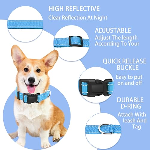 Reflective Dog Collar with Safety Locking Buckle, Adjustable Soft Breathable Nylon Collars for Small, Medium and Large Dogs(Collar+Leash XS Width 3/8" Sky Blue) - color: Sky Blue, size: XX-Small (Width 3/8")