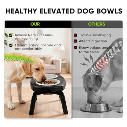 Elevated Dog Bowls Stand, 3 Height Adjustable Raised Dog Bowl with Collapsible Silicone Bowls, Non-Slip Stand for Small, Medium, Large Dogs & Pets