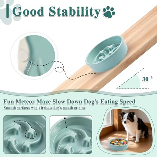 Ceramic Slow Feeder Dog Bowls, 0.6 Cups Dog Food Dish for Small and Medium Breed, Puzzle Dog Food Bowl for Fast Eater, 15OZ, 6.3 inch(Light Green) - color: Light Green-M