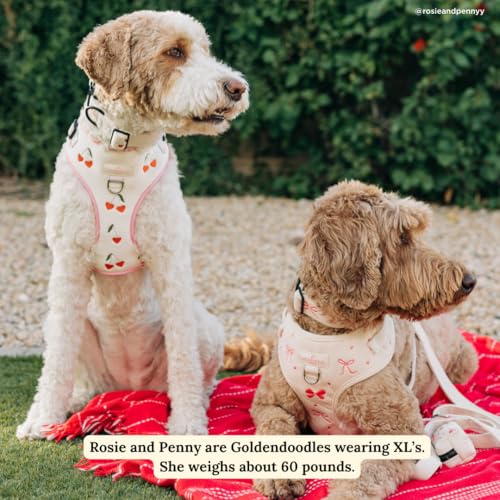 Lucy & Co. Ever So Sweet No-Pull Dog Harness, Adjustable Front Clip Harness with Comfort Padding, Small - color: Ever So Sweet, size: Small