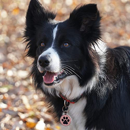 QR Code Pet ID | Personalized Dog & Cat Collar Tag | Online Profile with Instant Scanned Location Alert Email - style: Sky Paw