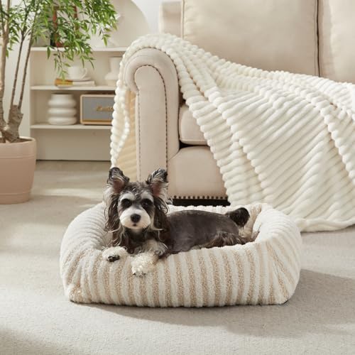 MIXJOY Dog Bed for Medium Sized Dogs, Washable Medium Dog Beds with Removable Cover, Rectangle Pet Beds with Non-Slip Bottom, Warming Calming Dogs Cuddler, 25"x21"x7", White - color: White, size: S Plus(25"Lx21"Wx7"Th)