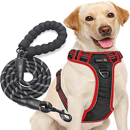 tobeDRI No Pull Harness Adjustable Reflective Oxford Easy Control Medium Large Dogs with A Free Heavy Duty 5ft Leash Black/Red Harness+Leash (E-DH F 004) - color: Black/Red Harness+Leash, size: Large