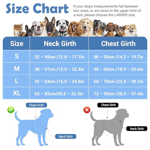 Funfox Dog Harness No Pull, Adjustable Pet Vest Harness, Super Soft Material with Vertical Handle Easy Control, Reflective Night Walking, 2 Leash Clips for Medium Sized Dogs, Mosaic Blue, M - color: Mosaic Blue, size: Medium