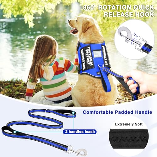 Service Dog Vest Harness and Leash Set+10 Patches,No Pull&Easy Walk Reflective Dog Harness with Soft Padded Handle for Training/Everyday,Fit Small/Medium/Large/Extra-Large Dogs (Blue XL) - color: Blue, size: Extra-large