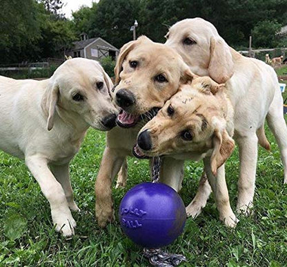 Jolly Pets Romp-n-Roll Rope and Ball Dog Toy, 6 Inches/Medium, Purple - color: Purple, size: Medium (6 in)