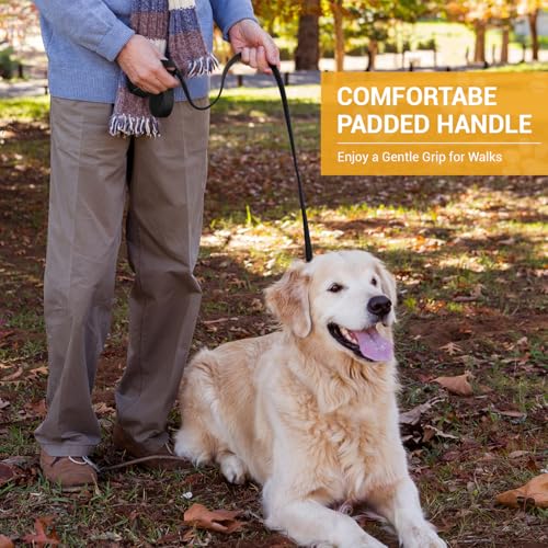 Hands Free Dog Leash, Heavy Duty Waist Leash for Dog Walking Running, Adjustable Multi-Function 9.8FT Long Dog Lead No Pull for Dogs, Professional Tangle Free Dog Training Lead - color: Adjustable-Black