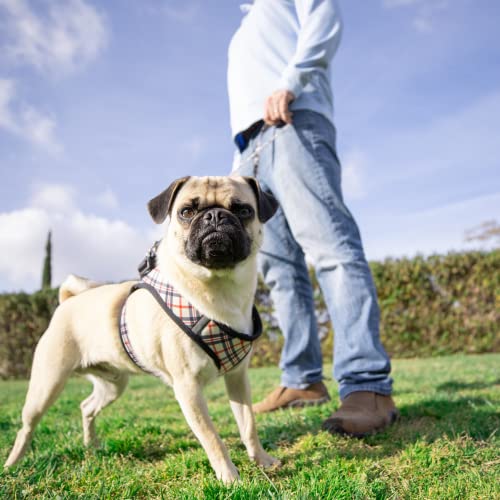 Huxley & Kent Hudson Walking & Training Harness - High Street Plaid (Extra-Small, 6-10lbs) - Easy Control Step-in Mesh Vest Harness with Reflective Strips for Safety - H&K - color: High Street Plaid, size: Extra-Small