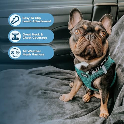 Best Pet Supplies Voyager Step-in Air All Weather Mesh Harness and Reflective Dog 5ft Leash Combo with Neoprene Handle, for Small, Medium and Large Breed Puppies - Set (Turquoise 2-Tone), X-Small