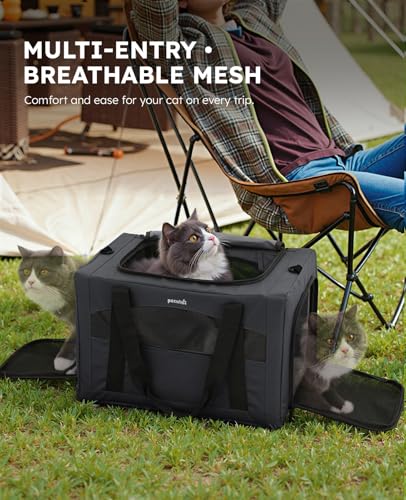 Pecute Cat Carrier Stable, Pet Carrier with Hidden Anxiety Relief Partition & Stable Steel Frame, Safe Cat Carrier for Car Travel, Soft-Sided Dog/Cat Carrier Bag for Pets Up to 11lbs, Dark Gray - color: Dark Gray Regular