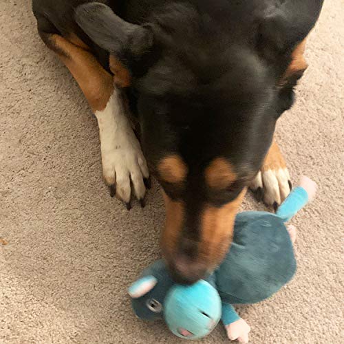 Jalousie Dog Squeaky Toys Value Set Non-Toxic Squeaky Balls Toss Fetch TPR Rubber Puppy Toys Spikey Dog Chew Toy for Small Medium Breed Pet Toys for Puppy (3 Pack 2-in-1 Plush) - color: 3 Pack 2-in-1 Plush
