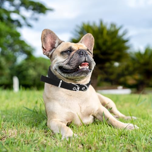 Adjustable Pet Collar Soft Foam Collar with Alloy Buckle Size S Comfortable Neck Decor for Cats and Dogs