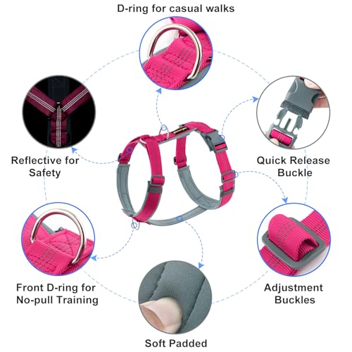 Plutus Pet No Pull Dog Harness, Adjustable Nylon Harness with Soft Padding, Reflective and Heavy Duty Dog Harness for Small, Medium, Large Dogs(Hot Pink, XS) - color: Hot Pink, size: XS