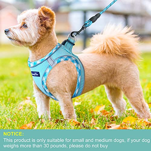 haapaw Dog Harness with Leash Set, No Pull Adjustable Reflective Step-in Puppy Harness with Thickened Padded Vest for Extra-Small/Small Medium Dogs - color: Turquoise, size: L