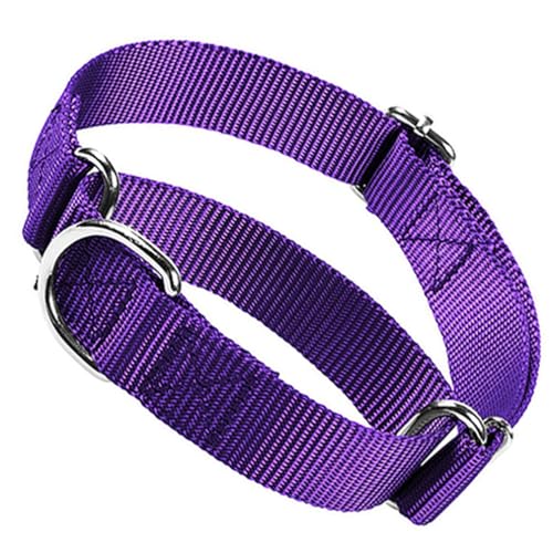 Martingale Collar for Dogs,Soft Nylon Choker Collar for Dogs,Training Escape Proof Heavy Duty Dog No Pull Dog Collar Adjustable for Small Medium Large Pet Boy Dogs, Purple S - color: Purple, size: S(Neck 10-14")