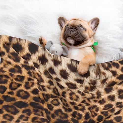 Leopard Print Dog Blankets for Small Dogs, Puppy Blanket Cute Pet Blanket for Dog, Puppy, Cat, Kitten Large - size: Large
