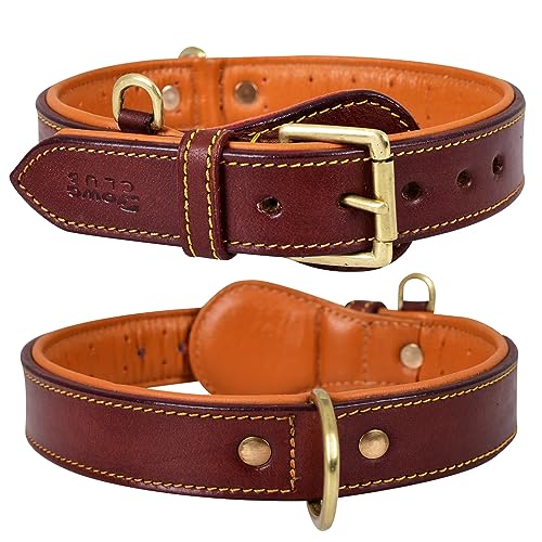 Genuine Leather Dog Collar – Full Grain, Breathable Inner Padding, Padded Buckle – Heavy Duty, Adjustable for Small, Medium, Large & XL Breeds (Dark Brown, M (Fit Neck Size 14.5"-18.5")) - color: Dark Brown, size: M (Fit Neck Size 14.5"-18.5")