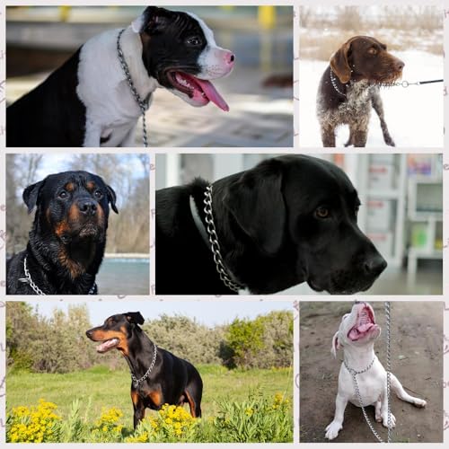 Silver Dog Chain Collars Metal Slip Link Training Dog Collar Heavy Duty Martingale Dog Collars for XXS XS Small Medium Large Breed Pets Boys Girls - color: Silver, size: XS(Neck Max 12inch)D2.0mm