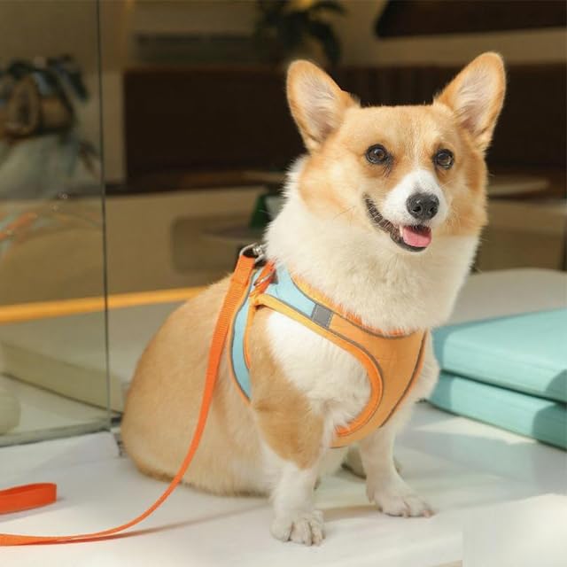 Escape Proof Dog Harness, Breathable Lightweight Vest Style Harness and Leash Set for Small Dogs and Cats - color: Green, size: M