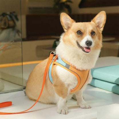 Escape Proof Dog Harness, Breathable Lightweight Vest Style Harness and Leash Set for Small Dogs and Cats - color: Green, size: M