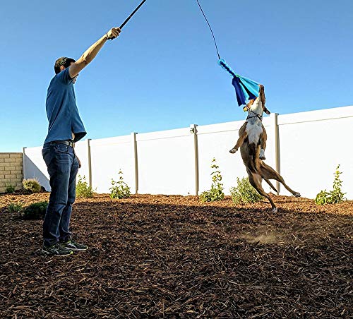 Flirt Pole for Dogs - Extendable Flirt Pole with 2pcs Fleece Lure Tugs for Dog Outdoor Entertainment, Train and Exercise, New Coffee - color: new coffee