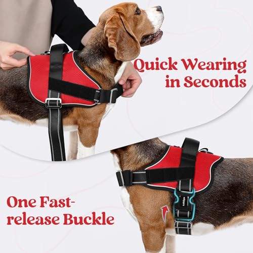 rabbitgoo Dog Harness Medium Sized, Easy On Pet Vest with One Buckle, No Pull Adjustable Service Harness with D-Ring & Handle, Reflective for Safety Walking, Training, Red, M - color: Red, size: Medium