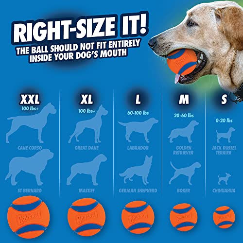 Chuckit! Ultra Ball Dog Toy (Small) and ChuckIt! Sport 14S Dog Ball Launcher