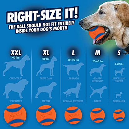 Chuckit! Ultra Ball Dog Toy (Small) and ChuckIt! Sport 14S Dog Ball Launcher