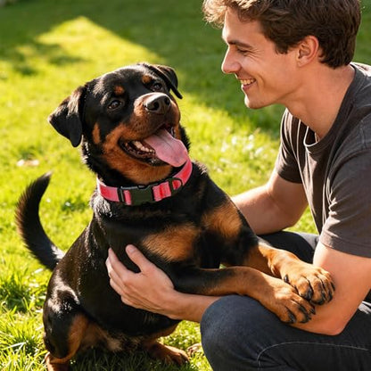Reflective Dog Collar with Quick Release Buckle - Metal Ring - Adjustable Soft Neoprene Padded Basic Dog Collar for Small Medium Large Dogs (Red, Medium :Width 1",Neck 13.8-19.6") - color: Red, size: Medium