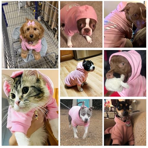 EXPAWLORER Princess Dog Soft Hoodie Sweater Fleece Sweatshirt Cold Weather Pet Clothes, Pink, Small Dog - color: Pink(Prinecss), size: Small