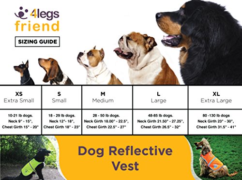 Safety Reflective Vest for Dogs - High Visibility for Outdoor Activity Day and Night, Protect Your Pet from Cars & Hunting Accidents - size: M